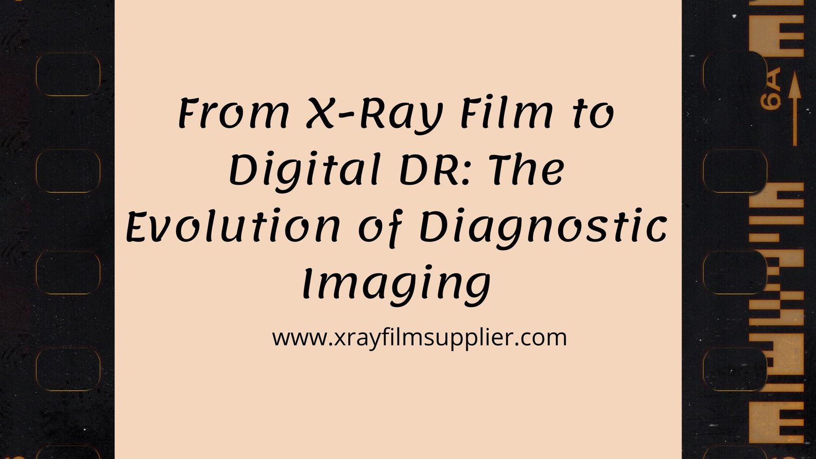 X Ray Film Exporter